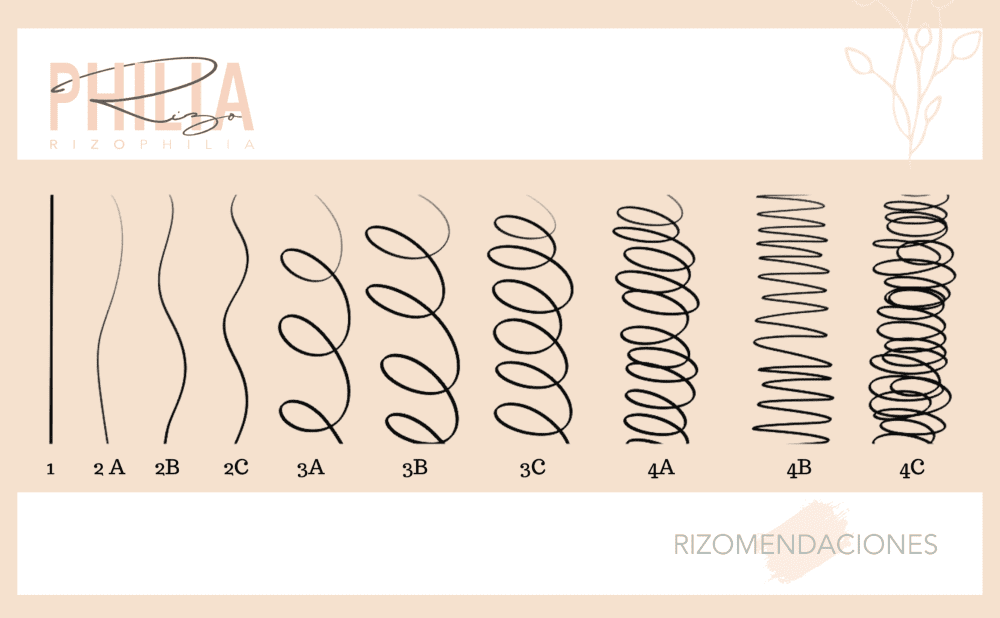 TIPOS DE CABELLO  1000px.png